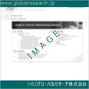 グローバルリサーチ調査資料のイメージ
